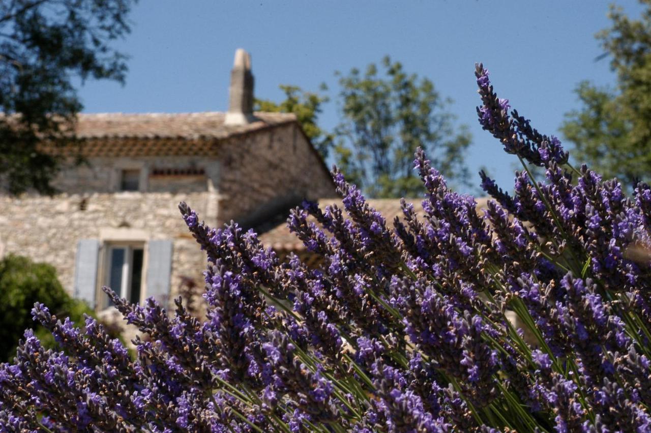 La Vivande Marsanne Buitenkant foto